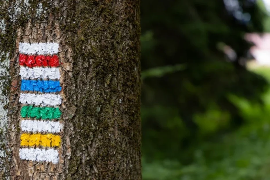 The Most Beautiful Hiking Trails in Poland