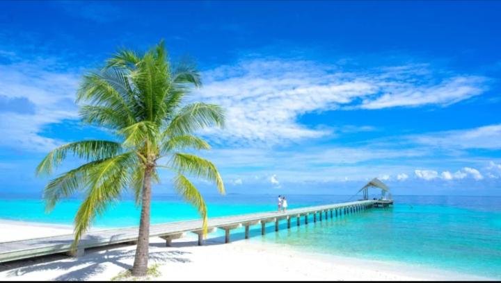 Top places to visit in 2025